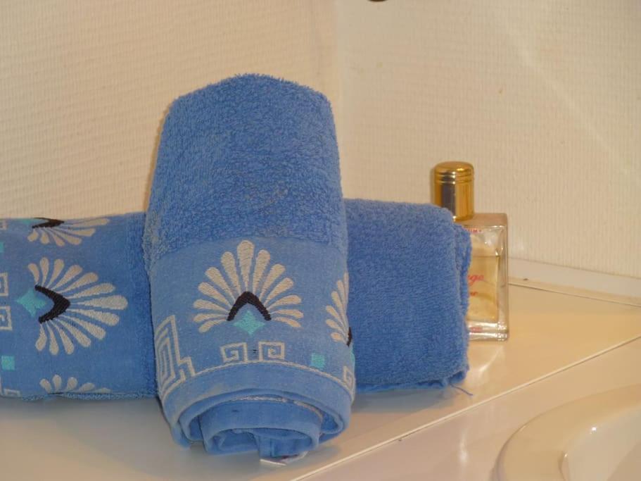 Chambre Chez L'Habitant - Proche Du Centre - Salle D'Eau Et Wc Prives Bordeaux Eksteriør billede